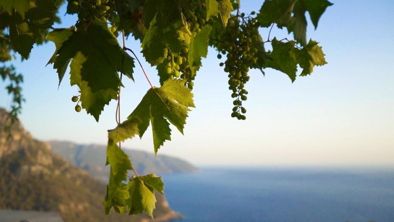 Kabak Mamma'S Pension Restaurant & Terrace Bar Fethiye Exterior photo